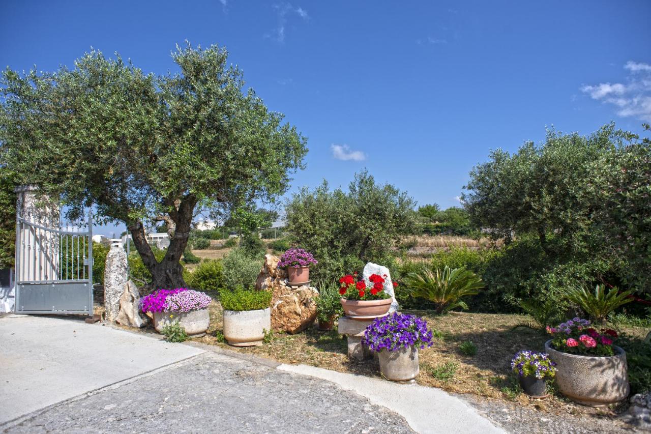 B&B Il Brigante Αλμπερομπέλο Εξωτερικό φωτογραφία