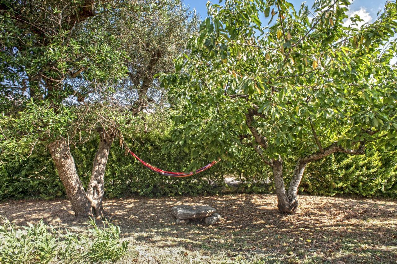 B&B Il Brigante Αλμπερομπέλο Εξωτερικό φωτογραφία