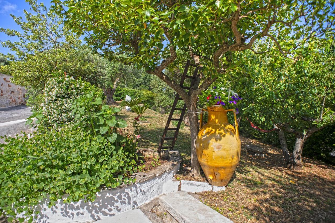 B&B Il Brigante Αλμπερομπέλο Εξωτερικό φωτογραφία